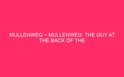Mullenweg ~ Mullenweg: the boy on the back of the WordPress Empire believes …