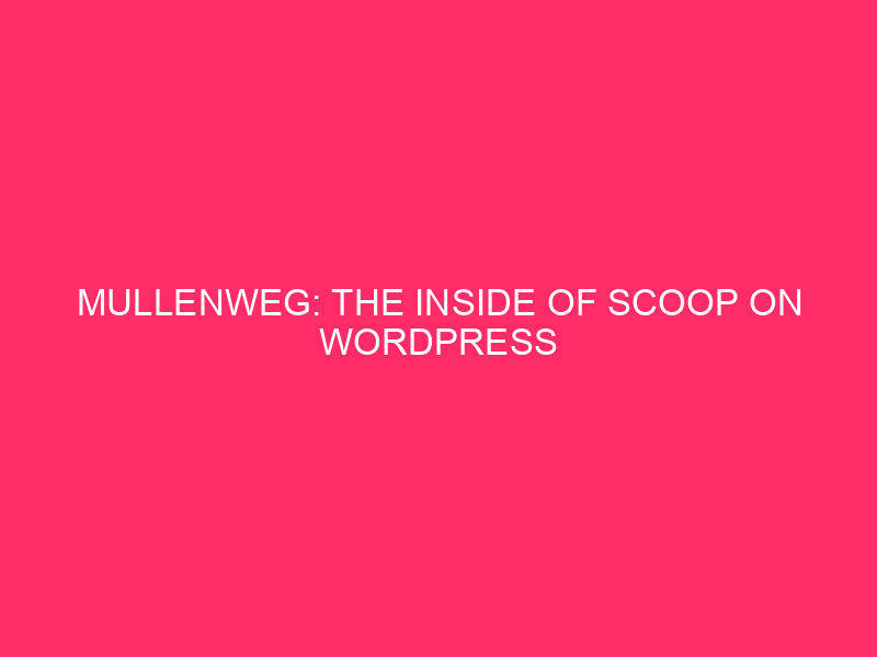Mullenweg: The Inside of Scoop on WordPress: Mullenweg in the North ...
