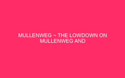 Mullenweg ~ The LowDown on Mullenweg and WordPress Safety: holding …