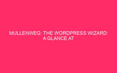 Mullenweg: The WordPress Wizard: a look at Mullenweg and Exploit …