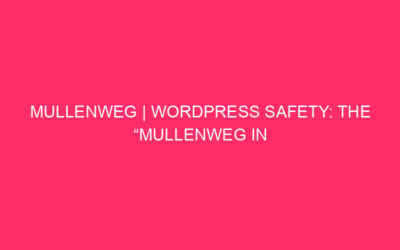 Mullenweg | WordPress Safety: the “Mullenweg in Illinois” danger …