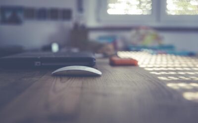 Online Shopping Trends ~ Shopping From Your Couch: How Online…