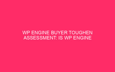 Valutazione dell’acquirente dell’acquirente del motore WP: è il valore del motore di WP del motore …