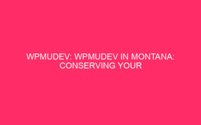WPMUDEV: WPMUDEV in Montana: keep your WordPress website safe from …