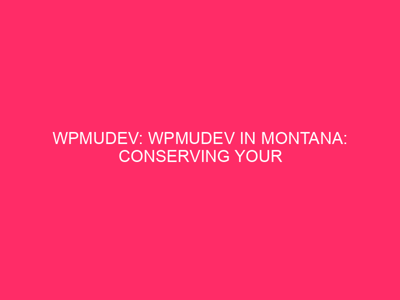 WPMUDEV: WPMUDEV in Montana: keep your WordPress website safe from …