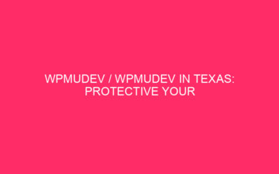 WPMUDEV / WPMUDEV in Texas: protection of the WordPress web page from …