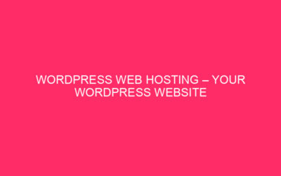 WordPress Web Hosting – Il tuo sito Web WordPress online: un castello o un …