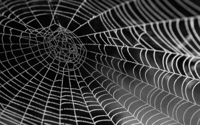 Blockchain And Cryptocurrency: Latest Trends And Predictions. / Quick Peek!…