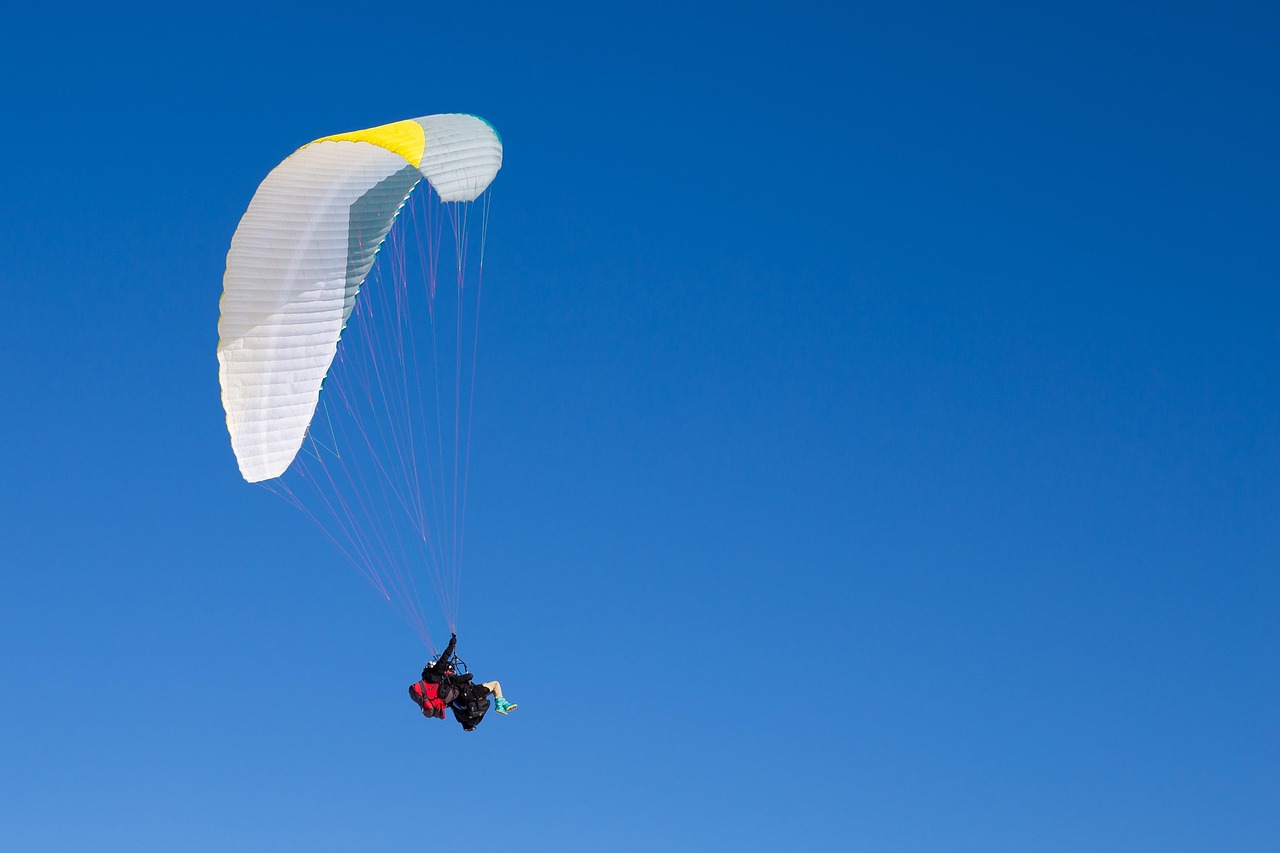 In-Store Efficiency: Enhancing The Physical Shopping Experience With Technology. -…