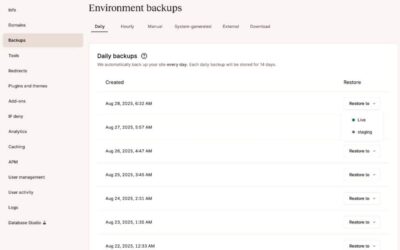 How Kinsta can assist your site repairs company develop