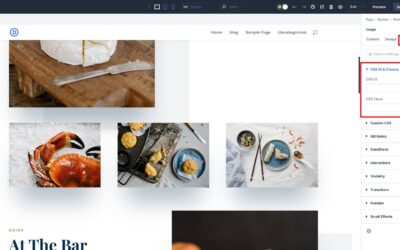 How to load CSS categories and ID attributes in Divi 5