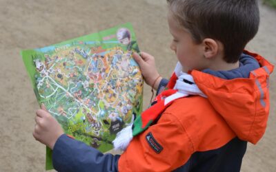 Improved Payment Flexibility: New Payment Methods And Options For Consumers….