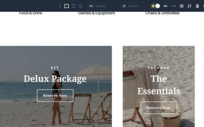 The entirety You Want To Know About Divi 5’s Customized Attributes