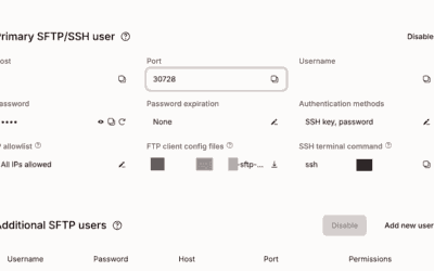 WordPress building with Radicle: deploying on Kinsta