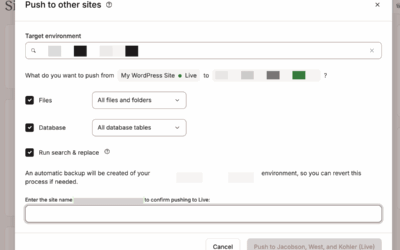 Agile supply for companies with Kinsta’s multi-environment setup