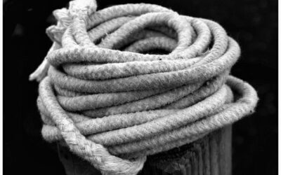 Collaborative Events: Feature Events Where Multiple Local Businesses Come Together…