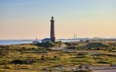 Cultural Contributions: Discuss How The Shop Reflects And Supports Local…