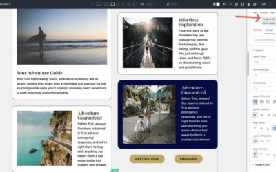 Everything you want to know about stacked presets in Divi 5