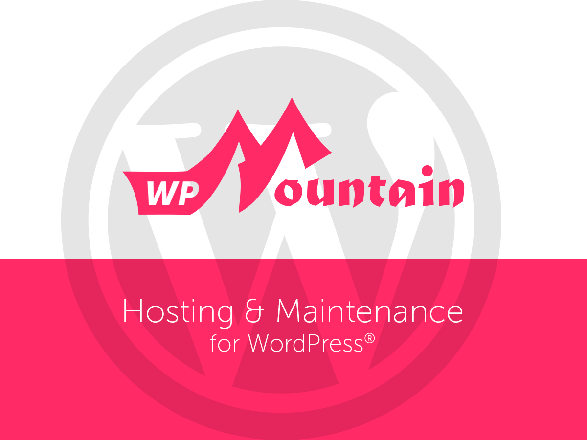 I added WhatsApp chat to WordPress and engagement right away went up