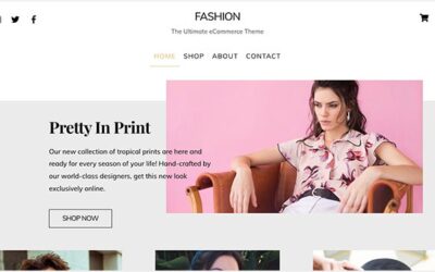 Kinsta SAML SSO is right here: Scale your company quicker and extra securely
