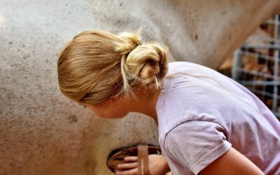 Workshops And Classes: Highlight Any Workshops, Classes, Or Special Events…