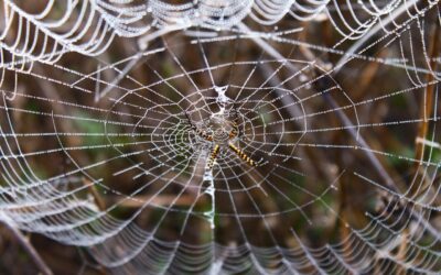 Mental Health Awareness: Tips For Maintaining Mental Well-being. ~ Unlock…