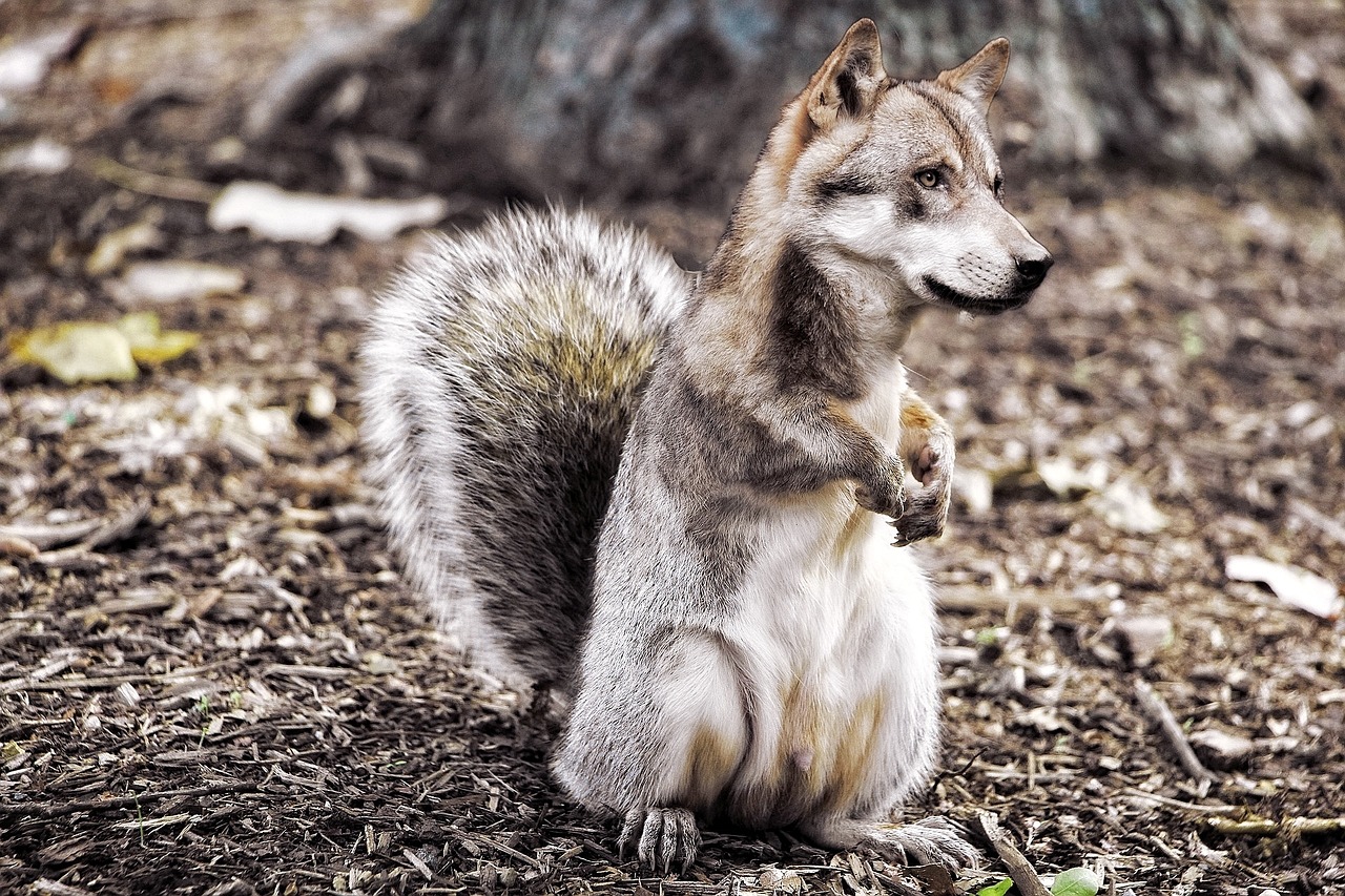 Mindful Shopping Practices: The Shift Towards More Conscious Consumerism. -…