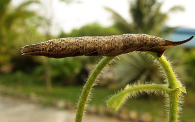 Personalization And Hyper-Targeting: How Online Stores Are Using Data To…